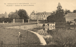 Plessé * Château De Careil ( L'entrée ) * Châteaux De La Loire Inférieure N°70 - Autres & Non Classés