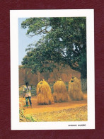 Benin, Danse Des Zangetos. New, Verso Divided, Standard Size. Ed. Les Images De Chez Nous No. 27B. Photo E. Nangbo. - Benin