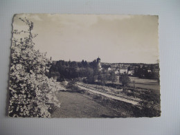 D 70 - Fougerolles - Les Cerisiers En Fleurs - Autres & Non Classés