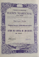 Fabrique De Bonneterie Hanin-Maréchal - Marloie - 1950 - Action De Capital - Textiles