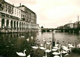 73335650 Hamburg Alsterarkaden Schwaene Wasservoegel Hamburg - Andere & Zonder Classificatie