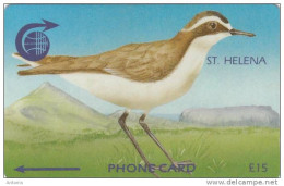 ST. HELENA ISL.(GPT) - Wirebird, CN : 3CSHC/B, Tirage 2000, Used - Isola Sant'Elena