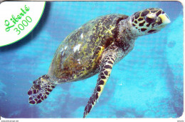NEW CALEDONIA - Sea Turtle, Liberte By OPT Prepaid Card 3000 CFP, Exp.date 31/12/09, Used - Nouvelle-Calédonie