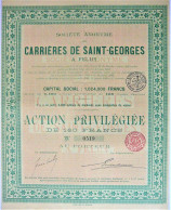 2 Actions S.A. Carrières De Saint Georges (FELUY) - Action De Dividende Et Action Priv. De 160 Fr - Miniere