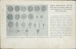 Cr183 Cartolina Propaganda Antimalarica Benevento Caserta Eboli Sede Portici - Benevento