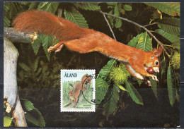 ALAND 1989 1994 1992 FAUNA ANIMALS SCIURUS VULGARIS 2.10m MAXI MAXIMUM CARD CARTE - Ålandinseln