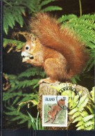 ALAND 1989 1994 1992 FAUNA ANIMALS SCIURUS VULGARIS 2.10m MAXI MAXIMUM CARD CARTE - Aland