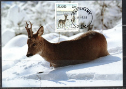 ALAND 1989 1994 1992 FAUNA ANIMALS CAPREOLUS 2.90m MAXI MAXIMUM CARD CARTE - Ålandinseln