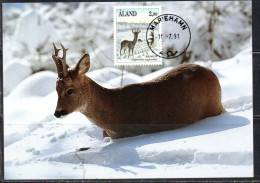 ALAND 1989 1994 1992 FAUNA ANIMALS CAPREOLUS 2.90m MAXI MAXIMUM CARD CARTE - Aland