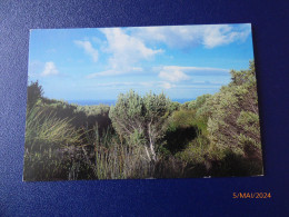 Cartes Postales D' André Fatras - Collections, Lots & Series