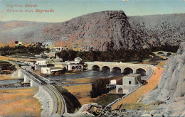 Liban - BEYROUTH - Rivière Du Chien - Ed. Sarrafian Bros.  - Libano