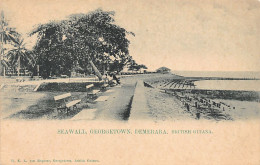 GUYANA British Guiana - GEORGETOWN - Seawall, Demerara - Publ. H. K. L. Von Ziegesar  - Guyana (ex-Guyane Britannique)