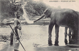 SRI LANKA - Elephant Bathing - Publ. Messageries Maritimes  - Sri Lanka (Ceilán)