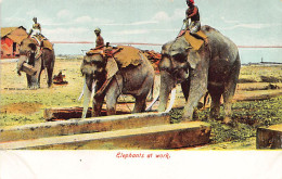 MYANMAR Burma - Elephants At Work - Publ. D. A. Ahuja 23 - Myanmar (Birma)