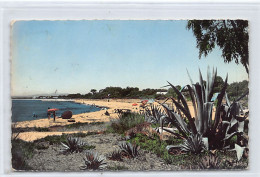 HAMMAMET - Un Coin De La Plage - Ed. Gaston Lévy 2 - Tunisie