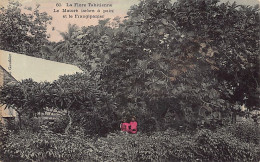 Polynésie - La Flore Tahitienne - Le Maloré (arbre à Pain) Et Le Frangipanier - Cliché Gauthier 60. - Polynésie Française