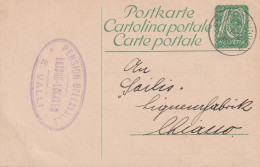 1923 Schweiz Postkarte Zum: 81. 10 Cts Grün, ⵙ PENSION DELLAVALLE, BRIONE-LOCARNO,E. VALLI - Stamped Stationery