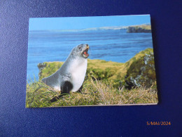 Cartes Postales Antarctique - Verzamelingen & Reeksen