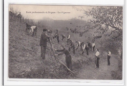 BRIGNAIS : Ecole Professionnelle De Brignais, Les Vignerons - Tres Bon Etat - Brignais