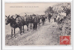 AMELIE-les-BAINS : Sur La Route De Montalba - Tres Bon Etat - Autres & Non Classés