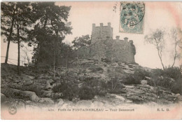 FONTAINEBLEAU: Tour Denecourt - Très Bon état - Fontainebleau