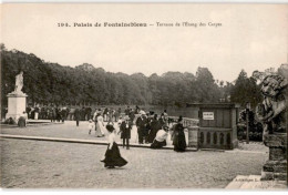 FONTAINEBLEAU: Terrasse De L'étang Des Carpes - Très Bon état - Fontainebleau