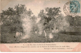 FONTAINEBLEAU: Le Feu Dans La Forêt De Fontainbleau - Très Bon état - Fontainebleau