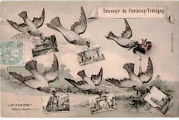 FONTENAY-TRESIGNY: Souvenir De Fontenay-trésigny - Très Bon état - Autres & Non Classés