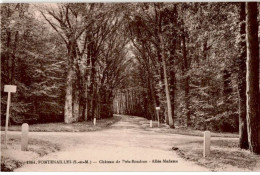 FONTENAILLES: Château De Pois-boudran, Allée Madame - Très Bon état - Autres & Non Classés