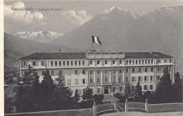 DOMODOSSOLA (VB) Collegio Rosmini - Sonstige & Ohne Zuordnung