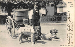 BERN - Milk Dog Cart - Milchhundewagen - Laitier Voiture à Chien. See Scans For Condition. Voir Les Scans Pour L'état. - Berna