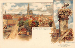 STRASBOURG - Illustration - Vue Globale - Cathédrale - Nid De Cigognes - Ed. Joh. Elchlepp (Freiburg Im Breisgau) - Strasbourg