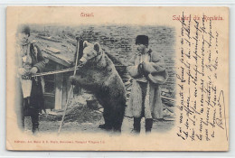 Romania - Ursari ) Dancing Bear - Montreur D'ours - Ed. Ad. Maier & D. Stern - Rumänien