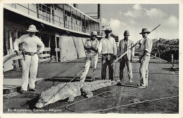 Colombia - Cazadores De Caiman - Alligator Hunters - Rio Magdalena - Ed. Heumann P35 - Kolumbien