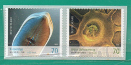 76 Alemania Federal 2015 YT  3000A/3000 Ss Mint TT: Autoadhesivos,Micro Organismos - Unused Stamps