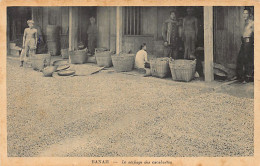Viet Nam - BANAM - Le Séchage Des Cacahuètes - Ed. Nadal 215 - Vietnam