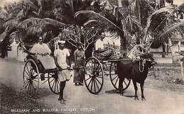 Sri Lanka - Rickshaw And Bullock Hackery - Publ. Plâté Ltd. 60 - Sri Lanka (Ceilán)