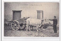 LOURDES : Attelage Pyrénéen - Tres Bon Etat - Lourdes