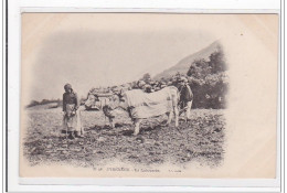 PYRENEES : Le Laboureur - Tres Bon Etat - Autres & Non Classés