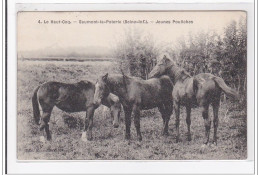 SAUMONT-la-POTERIE : Jeunes Pouliches - Etat - Andere & Zonder Classificatie