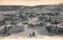 CANCALE - Triage Des Huîtres - Très Bon état - Cancale