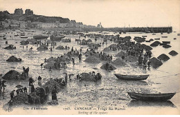 CANCALE - Triage Des Huîtres - Très Bon état - Cancale