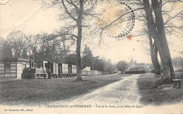 CHATEAUNEUF EN THYMERAIS - Vue De La Gare, Prise Allée Du Jaglu - état - Châteauneuf