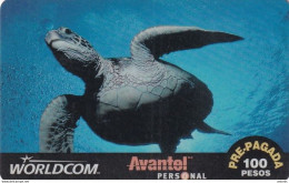 MEXICO - Sea Turtle, Worldcom/Avantel Prepaid Card 100 Pesos(plastic), Used - México