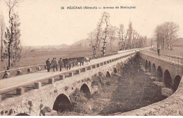 PEZENAS - Avenue De Montagnac - Très Bon état - Pezenas