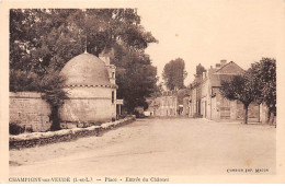 CHAMPIGNY SUR VEUDE - Place - Entrée Du Château - Très Bon état - Champigny-sur-Veude