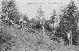 ALLEVARD LES BAINS - Descente En Traineau De Brame Farine - Très Bon état - Allevard