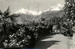 73332631 Meran Merano Tappeiner Promenade Passeggiata Tappeiner Texelgruppe Mera - Sonstige & Ohne Zuordnung