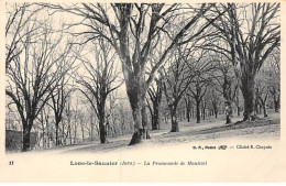 LONS LE SAUNIER - La Promenade De Montciel - Très Bon état - Lons Le Saunier