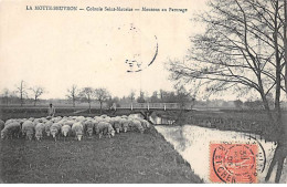 LAMOTTE BEUVRON - Colonie Saint Maurice - Moutons Au Pâturage - Très Bon état - Lamotte Beuvron